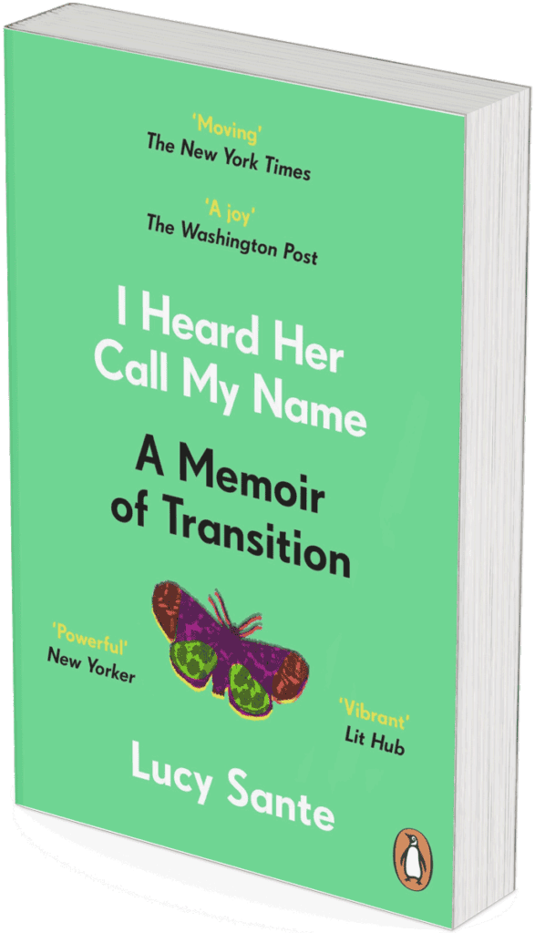 mock-up book cover; I Heard Her Call My Name: A Memoir of Transition; Lucy Sante
