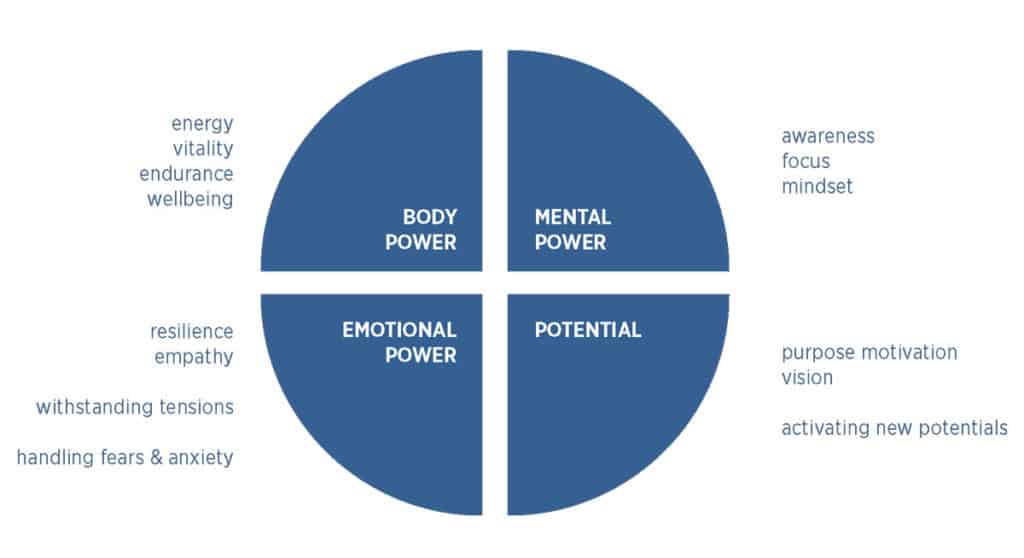 Figure 2: Self-Leadership Model according to Birta (2020)
